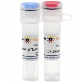 碧云天 BeyoAmp Extra-long DNA Polymerase (BeyoAmp 超长DNA聚合酶)(D7213M)