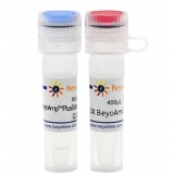 碧云天 BeyoAmp Plus Extra-long DNA Polymerase (BeyoAmp Plus 超长DNA聚合酶)(D7215S)