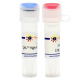 碧云天 Q6U High-Fidelity DNA Polymerase(Q6U 高保真DNA聚合酶)(D7239S)