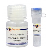 碧云天 Q6U High-Fidelity DNA Polymerase(Q6U 高保真DNA聚合酶)(D7239M)