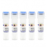 碧云天 dNTP/dUTP Mixture (2.5mM each/5mM)(dATP、dCTP、dGTP和dUTP混合水溶液)(D7376-5ml)