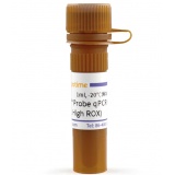 碧云天 BeyoFast Probe qPCR Mix (2X, High ROX)（实时荧光定量PCR预混液）(D7273-1ml)