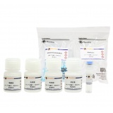 碧云天 RNAeasy病毒RNA抽提试剂盒(离心柱式)(R0035S)