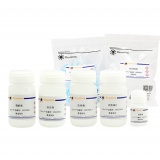 碧云天 RNAeasy病毒RNA抽提试剂盒(离心柱式)(R0035M)