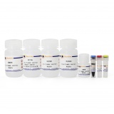 碧云天 BeyoMag 磁珠法动物RNA抽提试剂盒(R0077M)