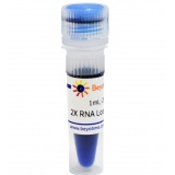 碧云天 2X RNA Loading Buffer（2X RNA上样缓冲液）(R0215-1ml)