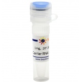 碧云天 Carrier RNA(病毒RNA等抽提用)(R0036-1mg)