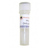 碧云天 DH5α甘油菌(D0351)