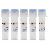 碧云天Kanamycin (10mg/ml,1000X)5ml
