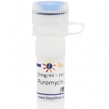 碧云天 Puromycin Dihydrochloride (嘌呤霉素)(ST551-10mg)
