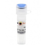 碧云天 pET-N-His-Thrombin-C-His(pET-N-His-Thrombin-C-His质粒)(D2908-100μg)