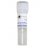 碧云天 Annealing Buffer for DNA Oligos (5X)(DNA退火缓冲液)(D0251)