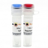 碧云天 Terminal Deoxynucleotidyl Transferase(TdT末端脱氧核糖核酸转移酶,5U/μl)(D7092M)