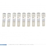 碧云天 BeyoRT cDNA第一链合成试剂盒(RNase H-)(D7166)