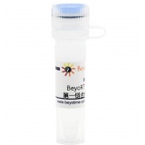 碧云天 BeyoRT III cDNA第一链合成预混液(5X)(D7182S)