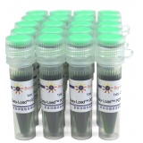 碧云天 Easy-Load PCR Master Mix (Green, 2X)(PCR预混液)(D7255-20ml)
