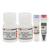 碧云天 动物组织直接PCR试剂盒(D7281S)