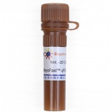 碧云天 BeyoFast SYBR Green qPCR Mix (2X, High ROX)(qPCR预混液)(D7265-1ml)