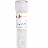 碧云天 EMSA探针－CREB (1.75μM)60μl