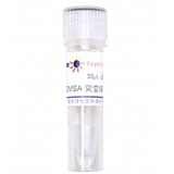 碧云天 EMSA突变探针－CREB (10μM)(GS021T)