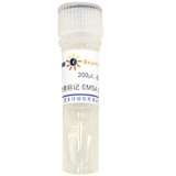 碧云天 生物素标记EMSA探针－STAT3 (0.2μM)(GS083B)