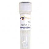 碧云天 EMSA探针－YY1 (1.75μM)60μl