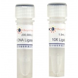 碧云天 T4 DNA Ligase(T4 DNA连接酶)(D7008)