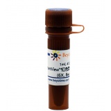 碧云天 InstantView红色荧光DNA上样缓冲液(6X, BeyoRed)(D0081-1ml)