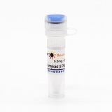 碧云天 Amyloid β Peptide(1-42) human(人β-淀粉样蛋白，1-42)(P9001-0.2mg)