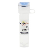碧云天 支原体预防去除试剂I(C0292-2ml)