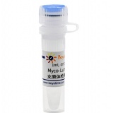 碧云天 Myco-Lumi发光法支原体检测阳性对照(C0299S)