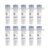 碧云天 Ad-GFP-LC3B(GFP-LC3B腺病毒)(C3006-10ml)