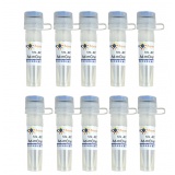 碧云天 Ad-mCherry-GFP-LC3B(mCherry-GFP-LC3B腺病毒)(C3011-10ml)