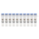 碧云天 AdPlus-mCherry-GFP-LC3B(腺病毒)(C3012-10ml)