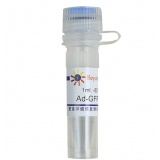 碧云天 Ad-GFP-p62(GFP-p62腺病毒)(C3015-1ml)