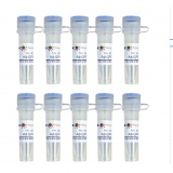 碧云天 Ad-GFP-p62(GFP-p62腺病毒)(C3015-10ml)