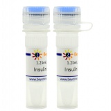碧云天 Insulin