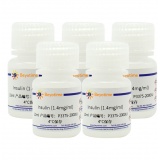 碧云天 Insulin(胰岛素)(P3375-2000IU)