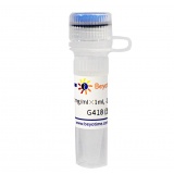 碧云天 G418 (遗传霉素)(ST081-1ml)