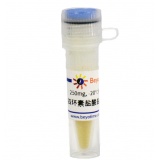 碧云天 四环素盐酸盐(BioReagent)
