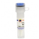 碧云天 酒石酸泰乐菌素(≥800units/mg, BioReagent)(ST2798-250mg)