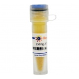 碧云天 两性霉素B (>750µg/mg, BioReagent)(ST2182-250mg)