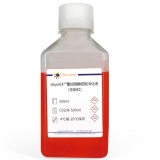 碧云天 BeyoAOF重组胰酶细胞消化液(含酚红)(C0208-500ml)