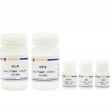 碧云天 植物原生质体转染试剂盒(C0563S)