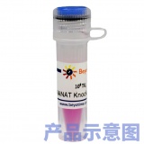 碧云天 AGT基因敲除慢病毒(L00112)