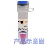 碧云天 NOS2基因敲除慢病毒(L00332)