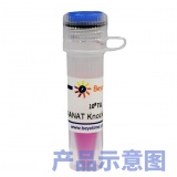 碧云天 DOT1L基因敲除慢病毒(L01551)
