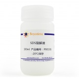 碧云天 SDS裂解液(P0013G)