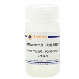 碧云天 植物Western及IP细胞裂解液