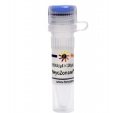 碧云天 BeyoZonase 超级核酸酶(≥99%)(D7121-5KU)